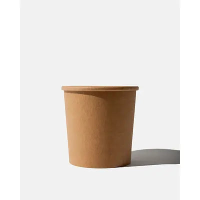 Takeaway Kraft Soup Containers