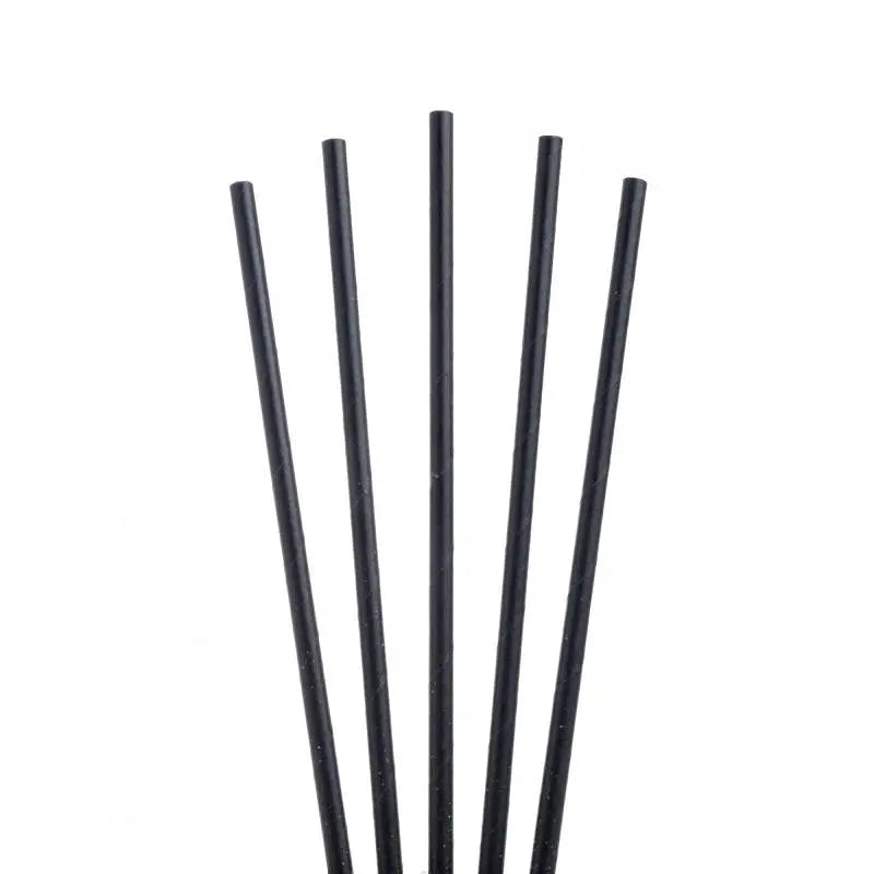 Black Paper Straws