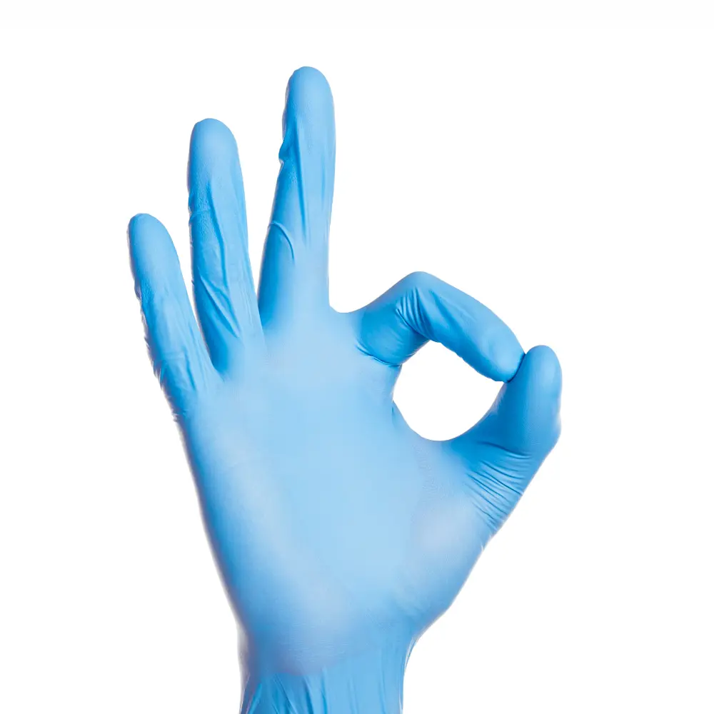 Blue Vinyl Gloves - Powder Free / Pack of 100