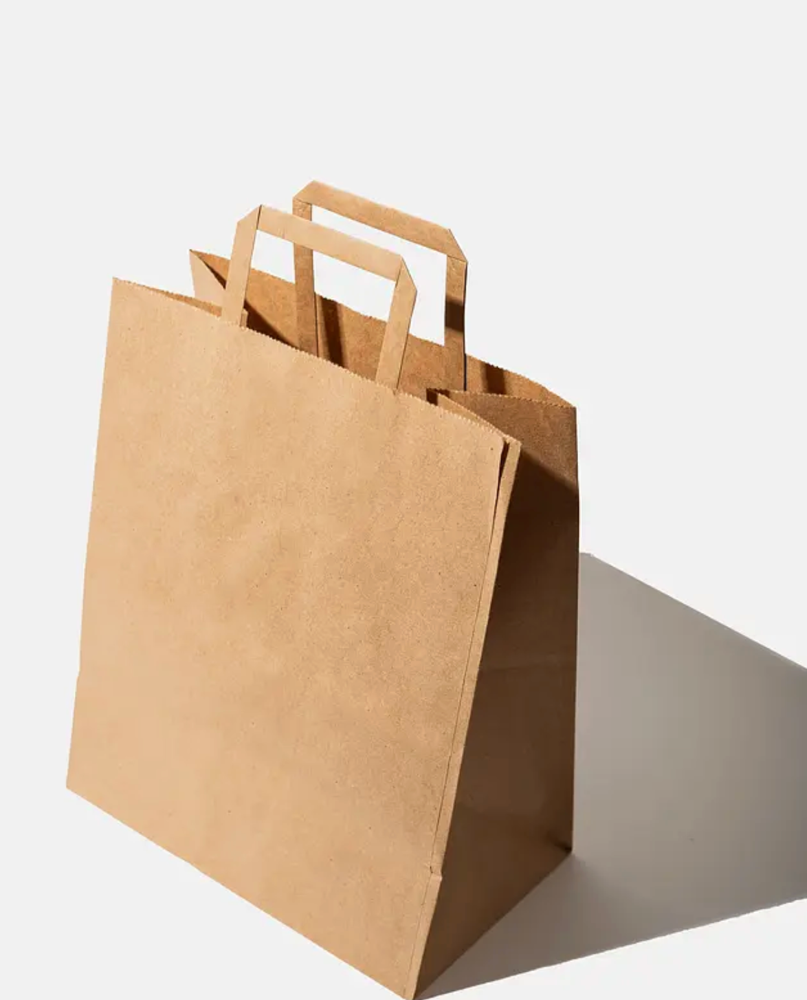 Kraft Bags