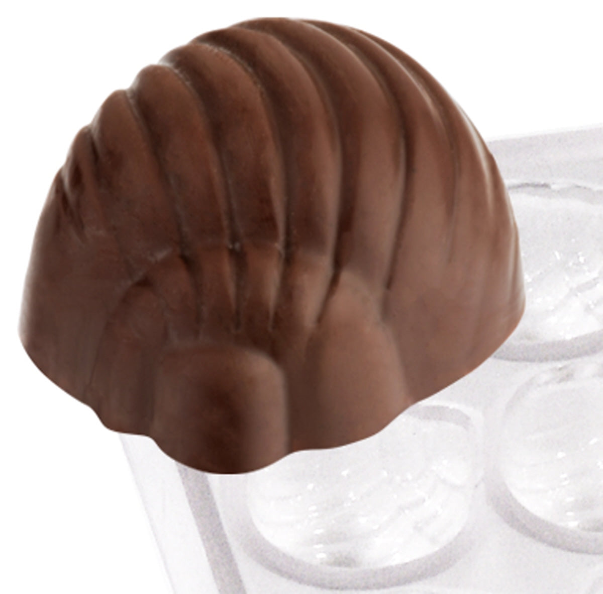 Chocolate Moulds Snail shell